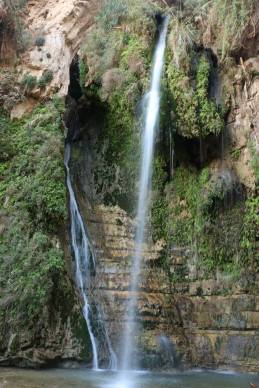 David's Waterfall at En Gedi
